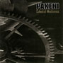 pakeni-cd2_pin.jpg (8845 Byte)